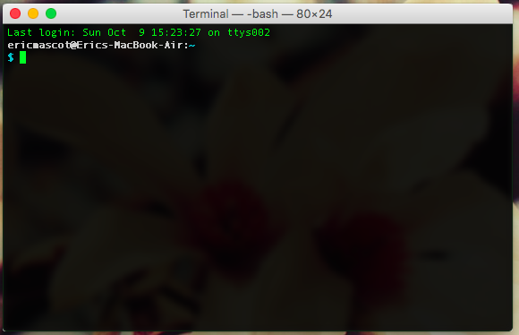Terminal